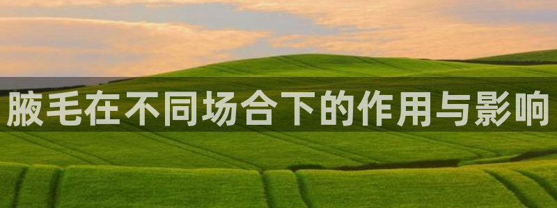 ug环球官网