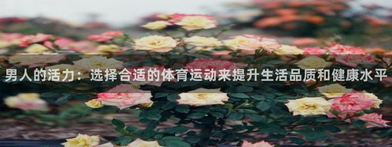 ug环球官网注册