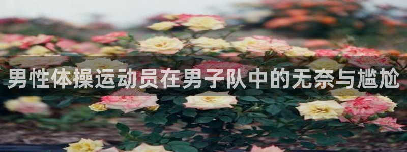 ug环球官网登录入口